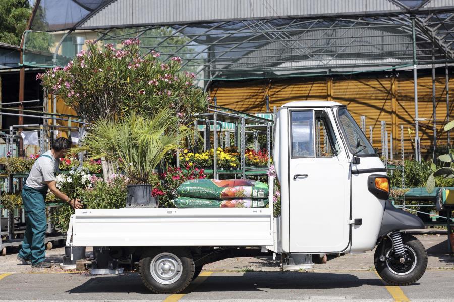  Piaggio Ape Classic Pianale 2017 года  (фото 8 из 17)
